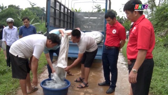 Văn Bàn hỗ trợ sinh kế cho hộ nghèo