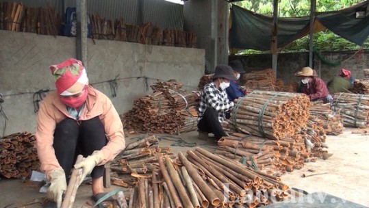 Hiệu quả phân công đảng viên phụ trách, giúp đỡ hộ nghèo tại Bảo Thắng