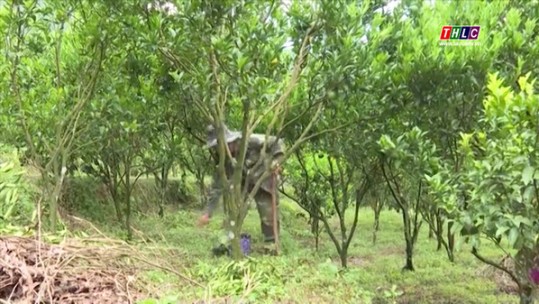 Đảm bảo chất lượng vùng sản xuất hữu cơ