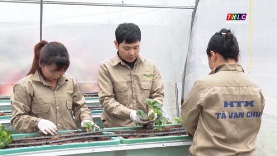 Bắc Hà dự kiến đào tạo cho 635 lao động