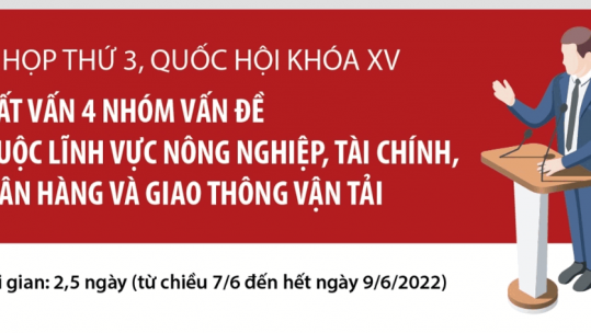 Kỳ họp thứ 3, Quốc hội khóa XV: Chất vấn 4 nhóm vấn đề thuộc lĩnh vực nông nghiệp, tài chính, ngân hàng và giao thông vận tải