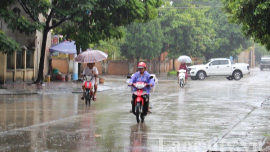 Ngày và đêm 7/6, Lào Cai tiếp tục mưa dông trên diện rộng
