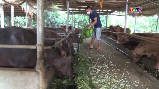 Tạo sự đồng thuận trong xây dựng nông thôn mới nâng cao