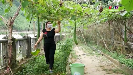 Hỗ trợ phụ nữ phát triển kinh tế, nâng cao thu nhập