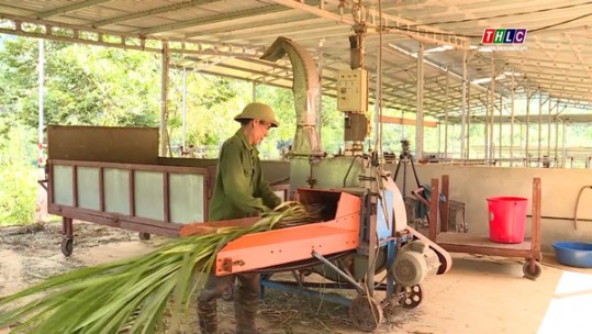 Nông dân Bảo Thắng sử dụng hiệu quả vốn vay từ ngân hàng