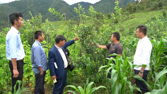 Khởi sắc ở bản Mông dưới chân núi Hoàng Liên