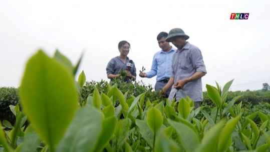 Thi đua yêu nước: Nỗ lực để xây dựng quê hương Lào Cai