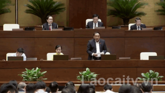 Quốc hội thảo luận và thông qua nhiều dự án Luật