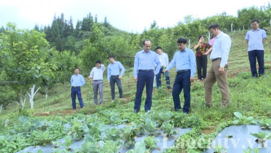 Phó Bí thư Thường trực Tỉnh ủy Vũ Xuân Cường làm việc với một số xã của huyện Bắc Hà