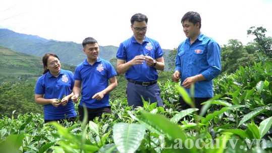 Phát huy hiệu quả nguồn vốn vay qua tổ chức Đoàn