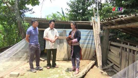 Hỗ trợ sinh kế cho đồng bào dân tộc thiểu số