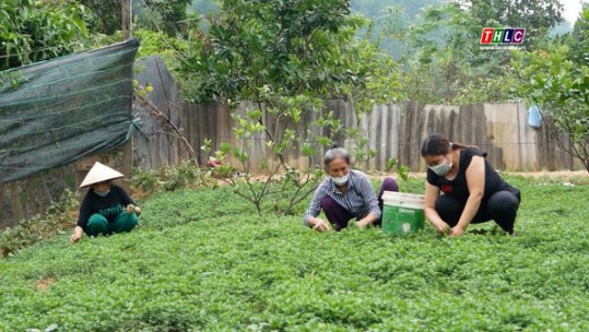 Trên 2.800 phụ nữ thành phố được hỗ trợ vay vốn phát triển kinh tế