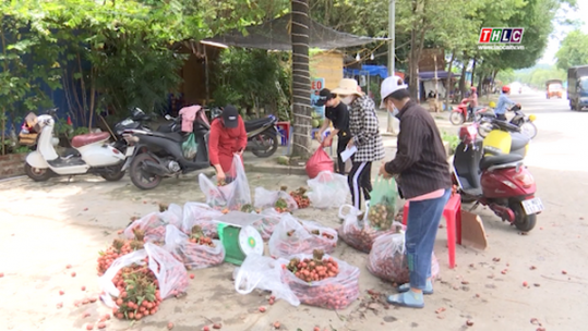 Trái cây tạm dừng xuất khẩu - Thương lái tìm cách tiêu thụ vải thiều