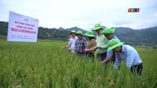 Văn Bàn đồng hành cùng doanh nghiệp phát triển