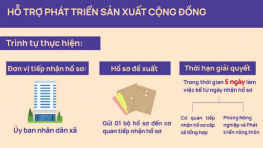 Hỗ trợ phát triển sản xuất cộng đồng