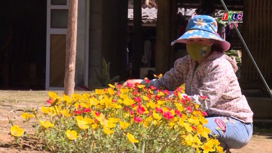 Lào Cai thúc đẩy xây dựng thôn kiểu mẫu