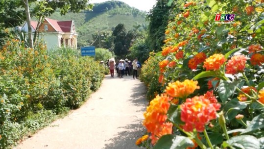 Nông dân Bảo Thắng nêu cao ý chí tự lực, vươn lên trong phát triển kinh tế