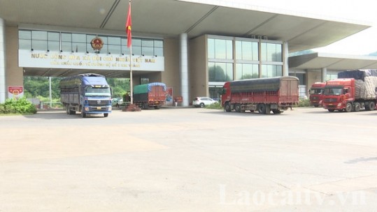 Bức tranh xuất nhập khẩu nửa đầu năm 2022