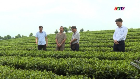 Nhiều giải pháp nâng cao đời sống gia đình người có công