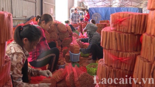 Phấn đấu 100% địa phương hình thành các vùng sản xuất sản phẩm chủ lực cấp tỉnh
