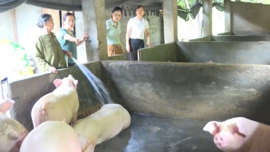 Xuân Quang chuyển đổi cơ cấu cây trồng, vật nuôi