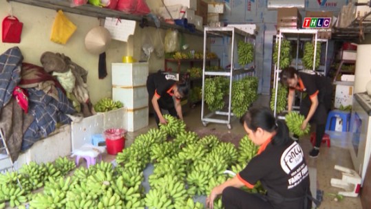An Thành quyết tâm thoát lõi nghèo
