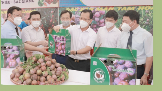 Xây dựng thương hiệu nông sản Lào Cai