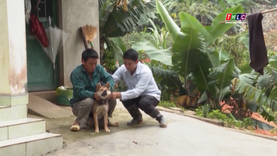 Tăng cường phòng trừ bệnh dại