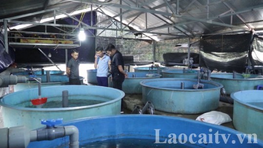 Sa Pa khơi dậy sự chủ động của người dân để nâng cao thu nhập