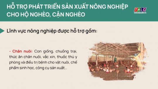 Hỗ trợ phát triển sản xuất nông nghiệp cho hộ nghèo, cận nghèo