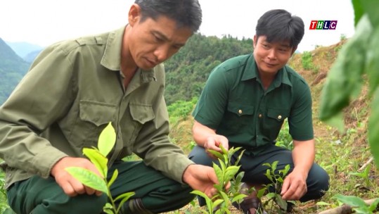 Chi hội trưởng Cựu chiến binh tiêu biểu