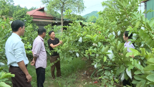 Những đảng viên thương binh tiêu biểu