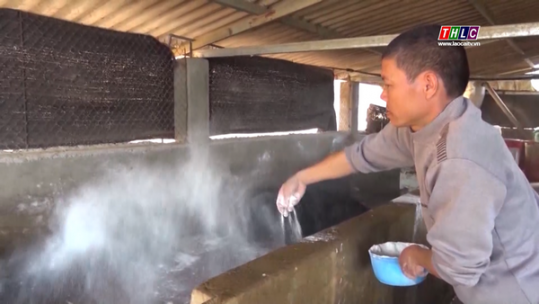 Tăng cường các biện pháp phòng, chống dịch bệnh gia súc, gia cầm