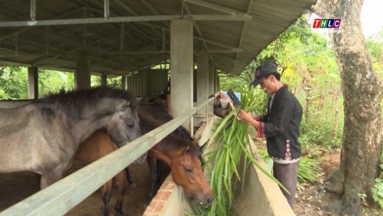 Bí thư chi bộ người Xa Phó - Nói cho dân hiểu, làm cho dân theo