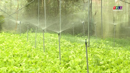 Nông dân Bảo Yên áp dụng khoa học kỹ thuật vào sản xuất, nâng cao giá trị canh tác