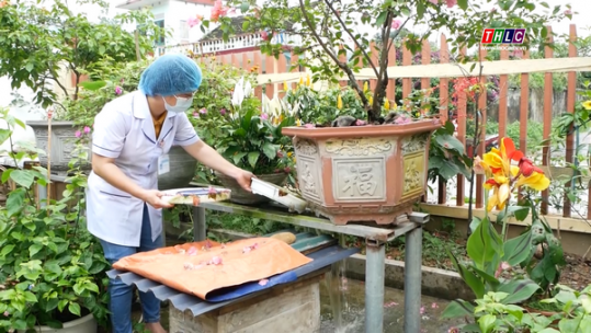 Tăng cường phòng chống dịch sốt xuất huyết và các dịch bệnh thông thường