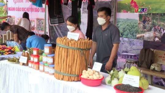 Sắp diễn ra Lễ hội Quế huyện Bảo Yên