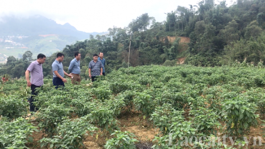 Thực hiện đồng bộ nhiều giải pháp nâng cao chất lượng đảng viên