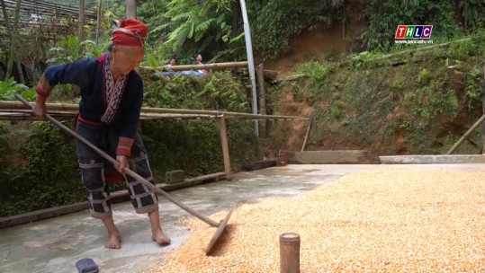 Nỗ lực giảm nghèo bền vững ở Tả Phời