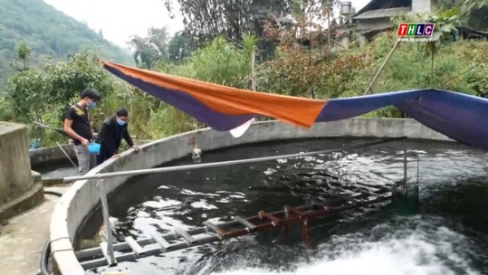 Thị xã Sa Pa đẩy mạnh công tác giám sát, phản biện xã hội