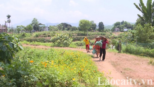 Văn Bàn có gần 500 mô hình “Dân vận khéo”