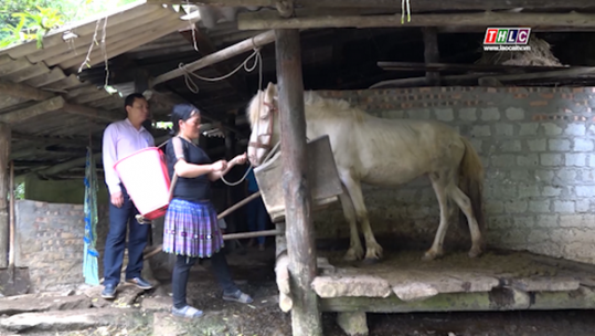 Nỗ lực giảm nghèo của phụ nữ Lùng Thẩn