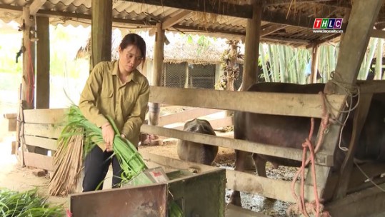 Nữ trưởng thôn năng động, dân vận khéo