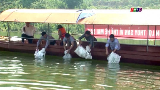 Tăng cường bảo vệ nguồn lợi thủy sản