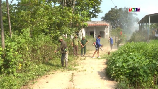 Phát huy vai trò cựu chiến binh trong xây dựng nông thôn mới