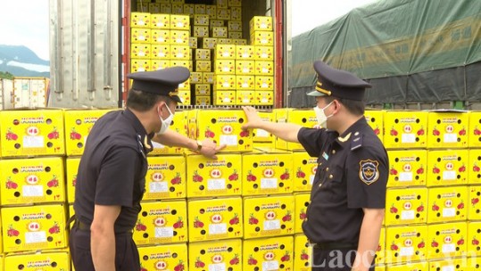 Tăng cường liên kết, phát huy vai trò cầu nối xuất khẩu nông sản