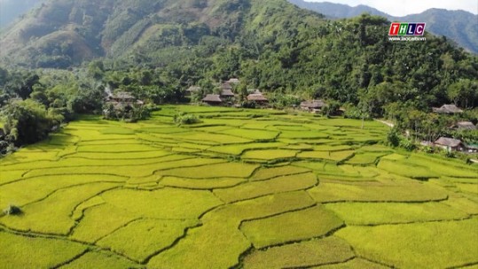 Bảo Yên quyết tâm đưa Nghị quyết 11 của Bộ Chính trị vào cuộc sống
