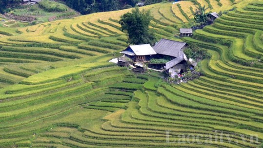 Linh hoạt trong hỗ trợ người dân di chuyển ra khỏi vùng thiên tai