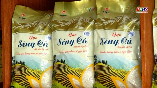An toàn thực phẩm trong lĩnh vực nông nghiệp