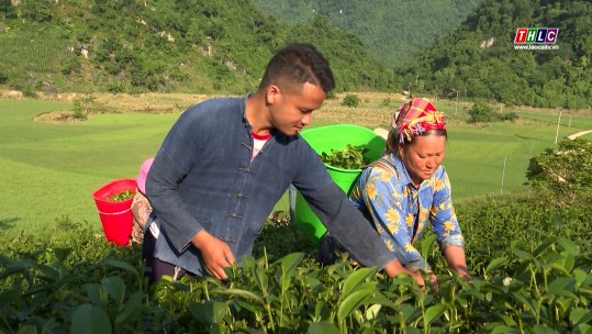 Trưởng thôn Cư Seo Mười đồng hành cùng Nhân dân xây dựng cuộc sống ấm no